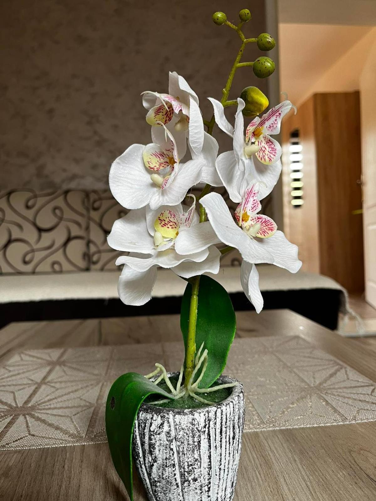 Apartmani Nikolic Višegrad 部屋 写真